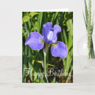 Purple iris flower birthday greeting card