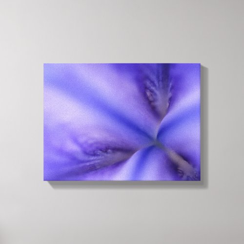 Purple Iris Flower Close Up Canvas Print