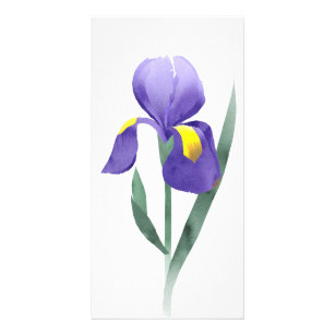 purple iris flower, collage of watercolor doodle card