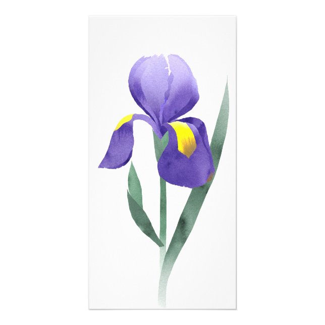 purple iris flower, collage of watercolor doodle card (Front)