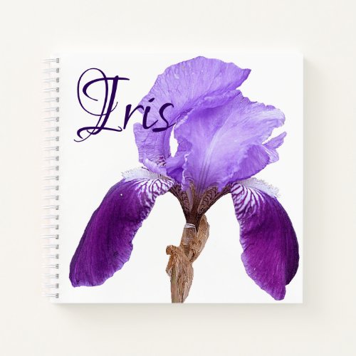 Purple iris flower customizable Iris name floral  Notebook
