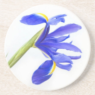 Purple Iris Flower Drink Coaster