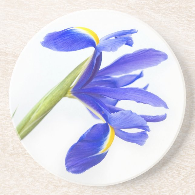 Purple Iris Flower Drink Coaster (Front)