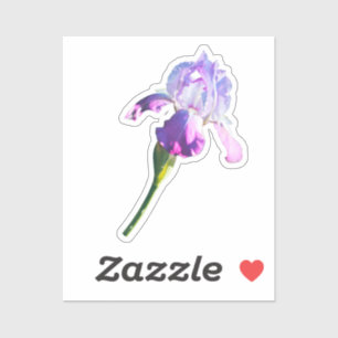 Purple Iris Flower February Birth Flower Sticker