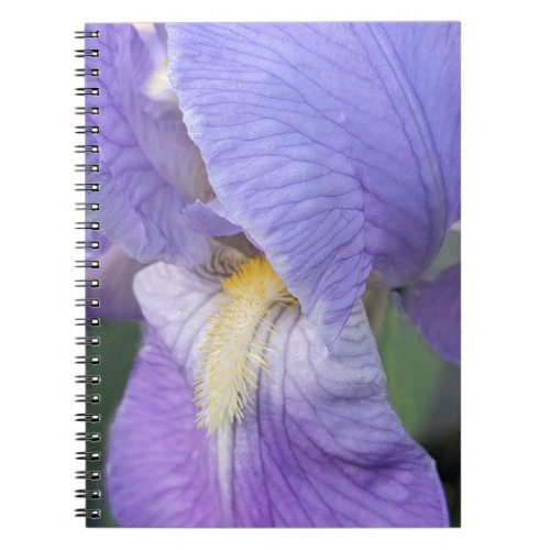 Purple Iris Flower Floral Notebook