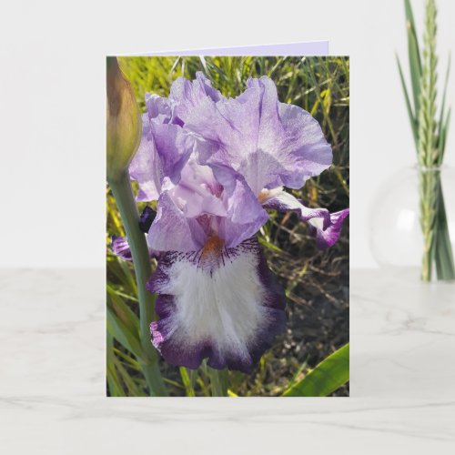 Purple Iris Flower Flowers Garden Birthday Card