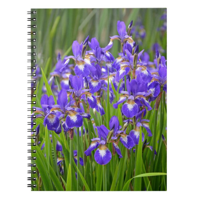 Purple iris flower garden notebook (Front)