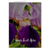 Purple Iris Flower Photo Postcard (Front)