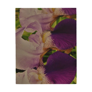 Purple Iris Flower Photo Wood Wall Art