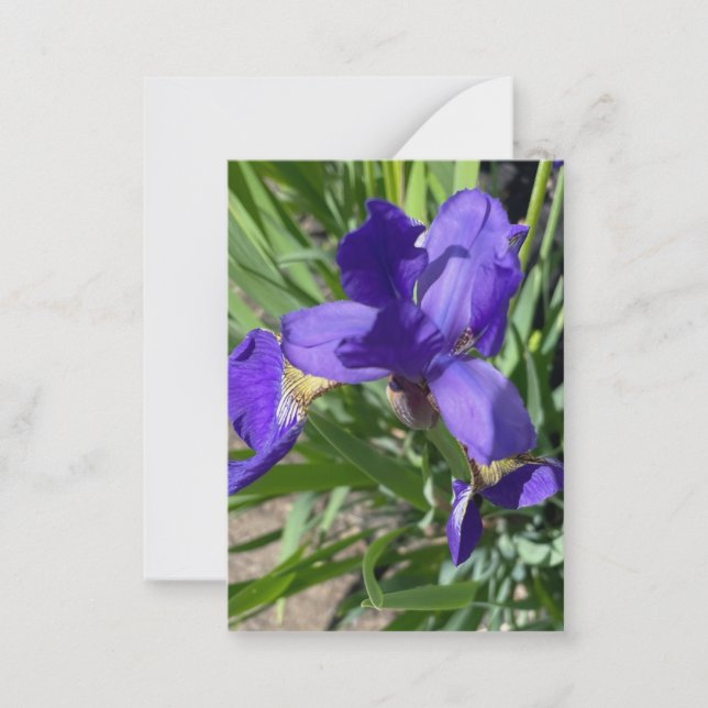 Purple Iris Flower Photograph  Note Card (Front)