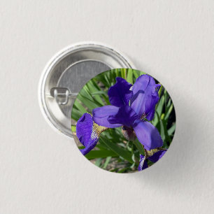 Purple Iris Flower Photograph Photo Pin
