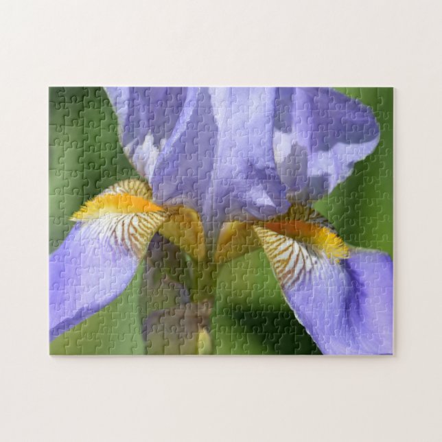 Purple Iris Flower photography Jigsaw Puzzle (Horizontal)