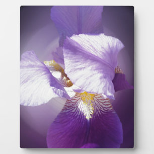 purple iris flower plaque