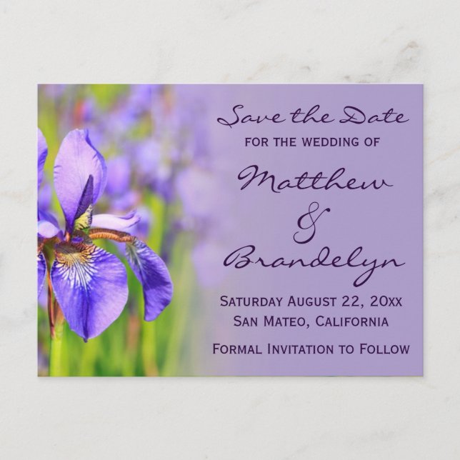 Purple Iris Flower Save the Date Postcards (Front)