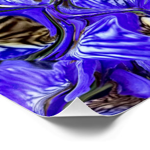 Purple Iris Flower / Slanted / Tiled / Poster