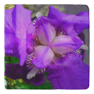 Purple Iris Flower Stone Trivet