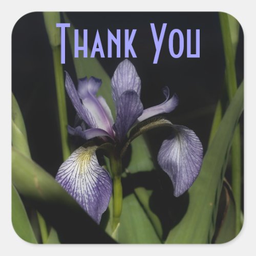 Purple Iris Flower Thank You Sticker