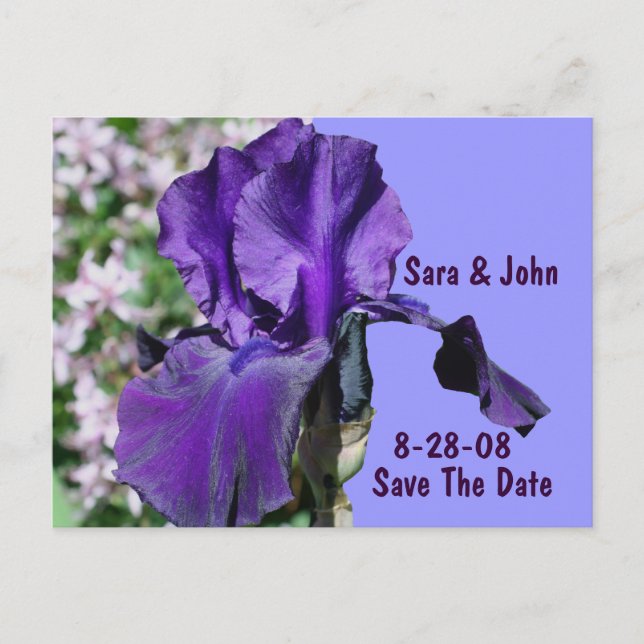 Purple Iris Flower Wedding Save The Date Announcement Postcard (Front)