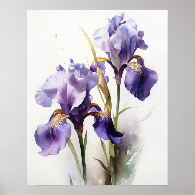 Purple Iris Flowers Art Print Poster (Front)