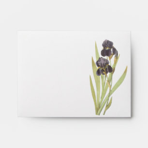 Purple Iris Flowers Envelope