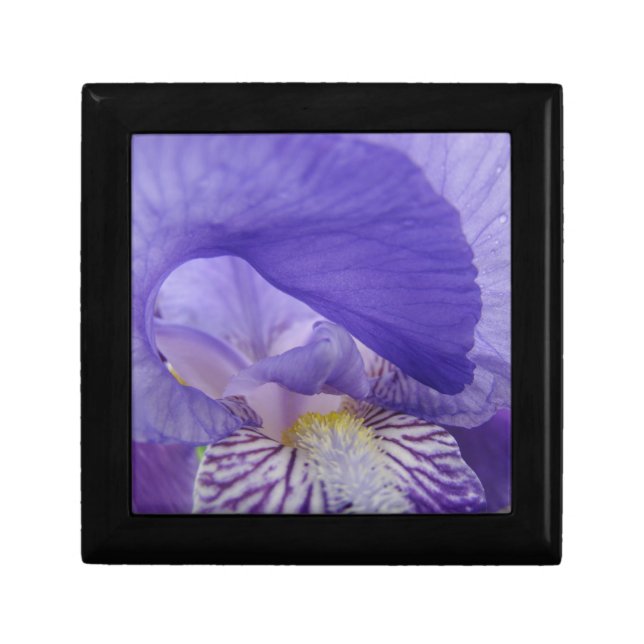 Purple Iris Flowers Keepsakes box Jewelry boxes (Front)