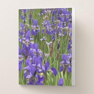 Purple Iris Flowers Nature Plants Photography Pocket Folder