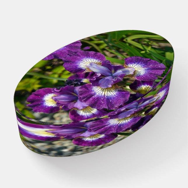 Purple iris flowers paperweight (Angled)