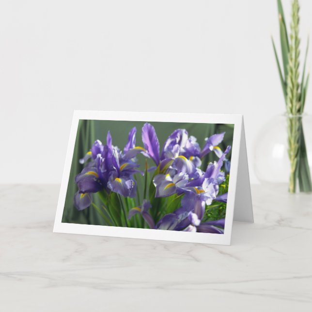 Purple Iris Flowers Photo Greeting Card (Front)