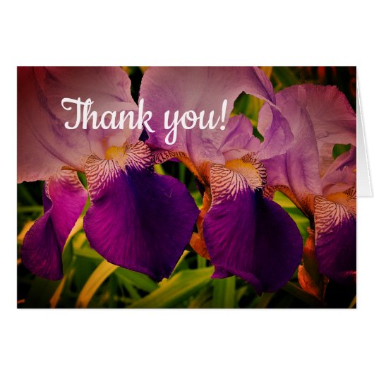 Purple Iris Flowers Photo Thank you card (Front Horizontal)