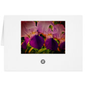 Purple Iris Flowers Photo Thank you card (Back Horizontal)