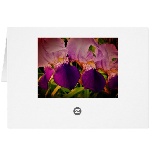 Purple Iris Flowers Photo Thank you card (Back Horizontal)