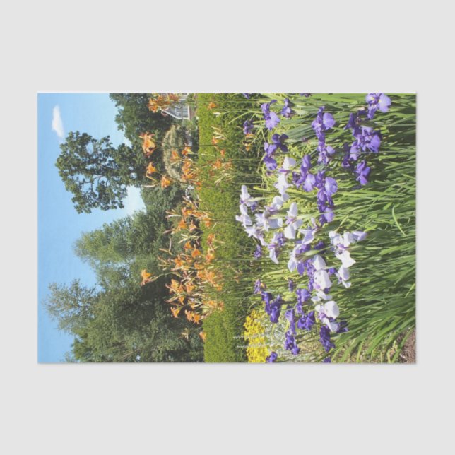 Purple Iris Garden Tissue Paper (Front)