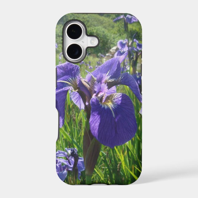 Purple Iris  IPhone5  Case (Back)