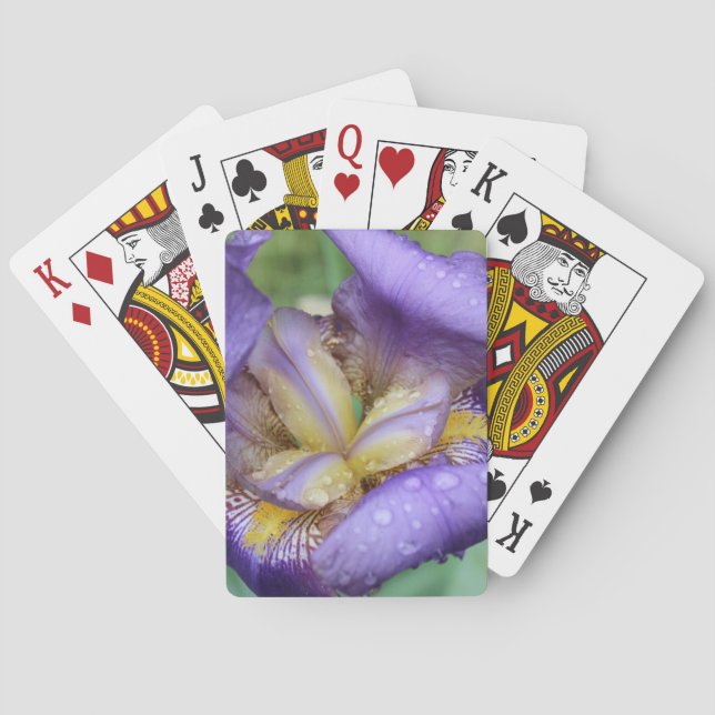 Purple Iris (Iris Germanica) Poker Cards (Back)