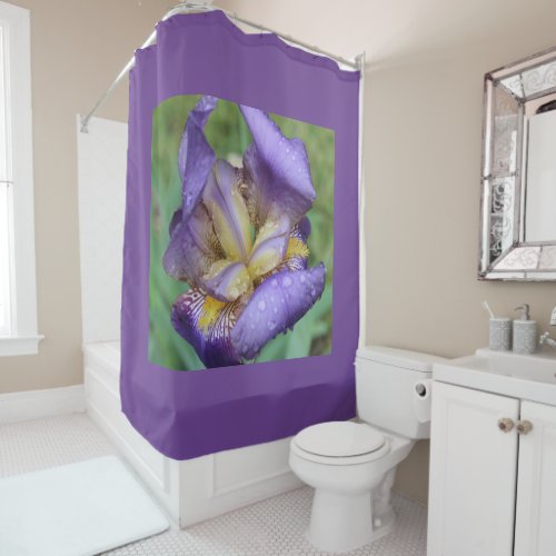 Purple Iris Iris Germanica Shower Curtain