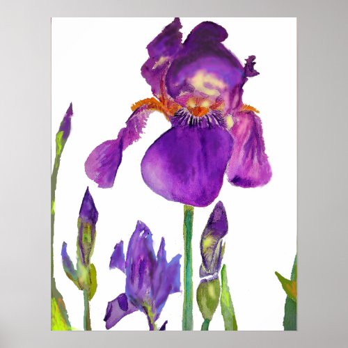 Purple Iris irises floral Flowers Poster