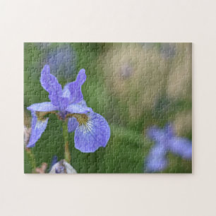 Purple Iris Irises Flower Nature Photo Garden Jigsaw Puzzle
