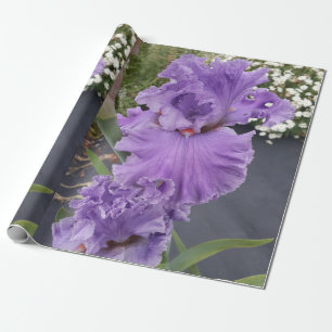 Purple Iris irises flowers Lavender Lilac Bearded Wrapping Paper