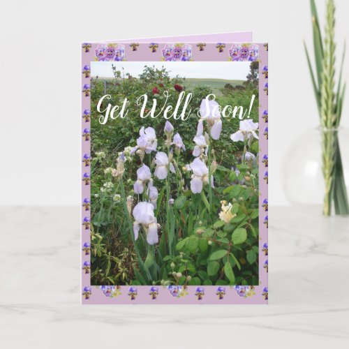 Purple Iris irises Garden Get Well Soon Card
