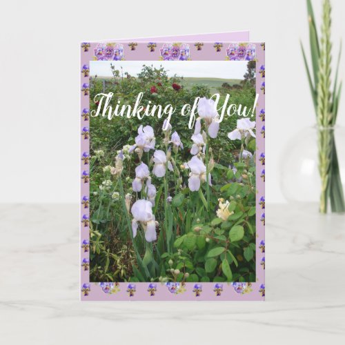 Purple Iris irises Garden Thinking of You Card