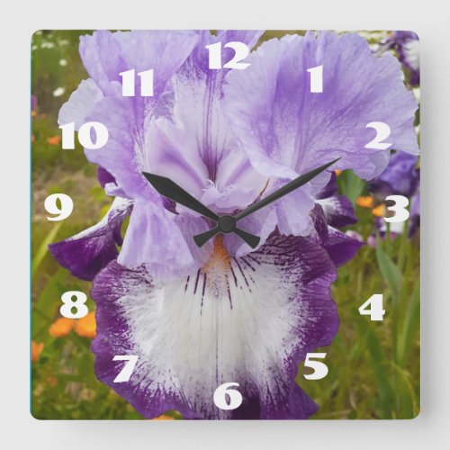 Purple Iris Irises Lilac Daisy Garden Flower  Square Wall Clock