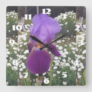 Purple Iris Irises White Daisy Garden Flower Square Wall Clock