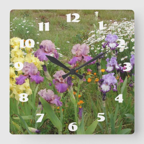 Purple Iris Irises White Daisy Garden Flower  Square Wall Clock