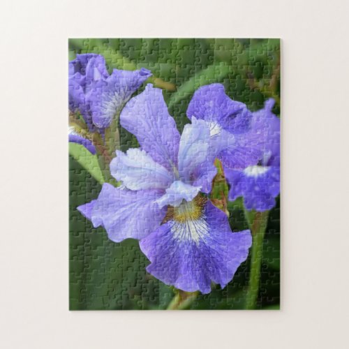Purple iris jigsaw puzzle