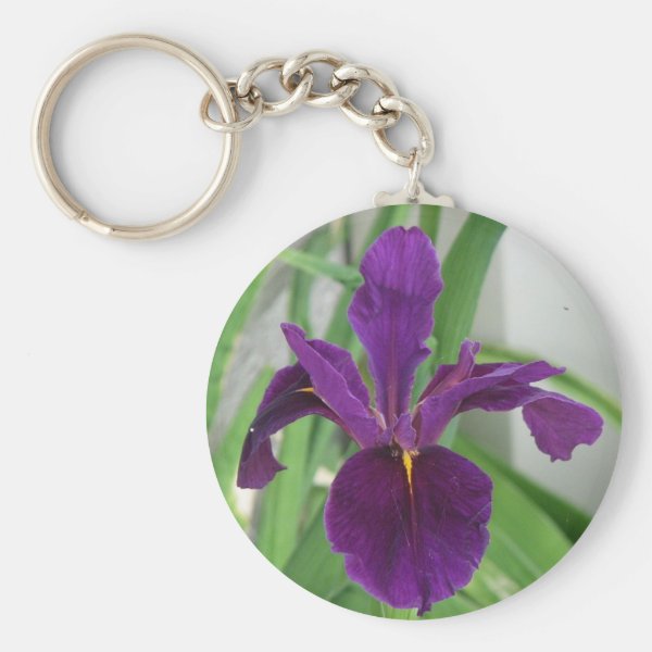 Iris Flower Gifts on Zazzle