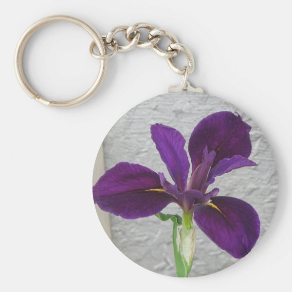 Purple Iris Gifts on Zazzle