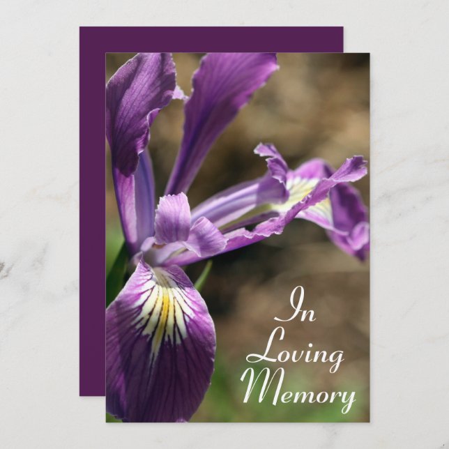 Purple Iris Memorial Service Announcement (Front/Back)