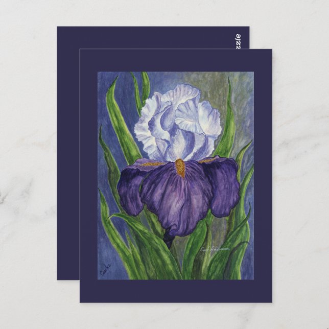 Purple Iris  Mini Collectible Prints Postcard (Front/Back)