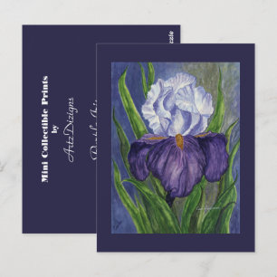 Purple Iris  Mini Collectible Prints Postcard