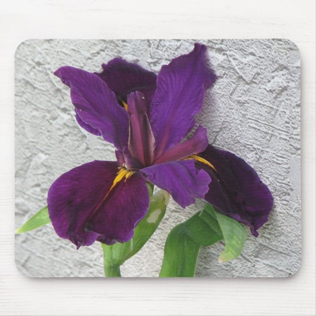 Purple Iris Mouse Pad (Front)